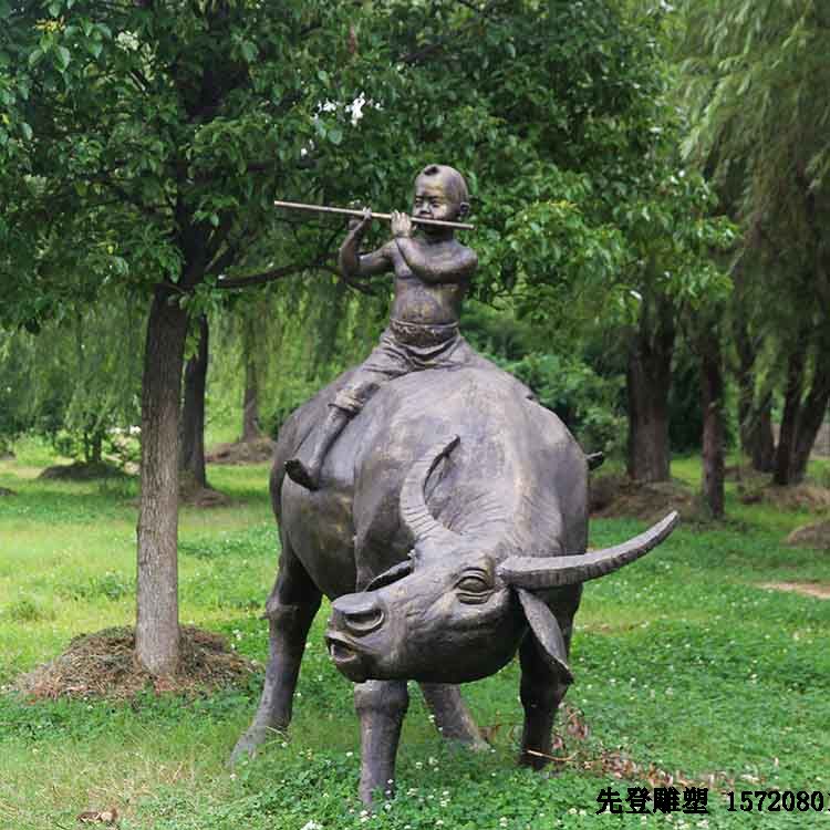 ����䓵����������ɫ����