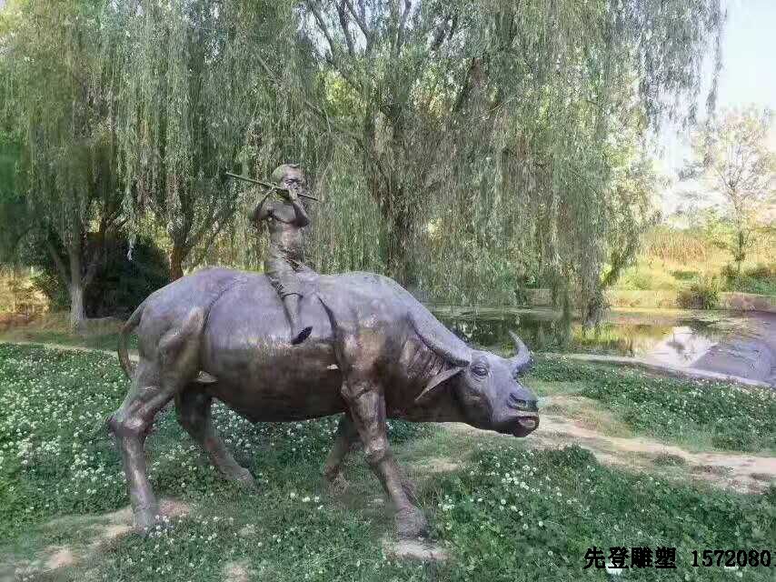 ����䓵����������������