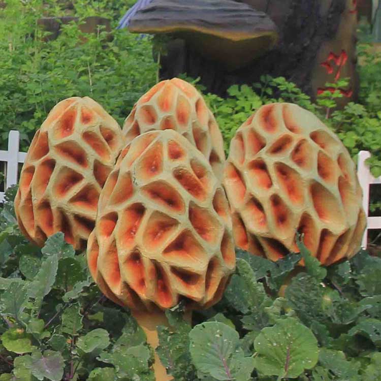 ���������rԓ����x�������